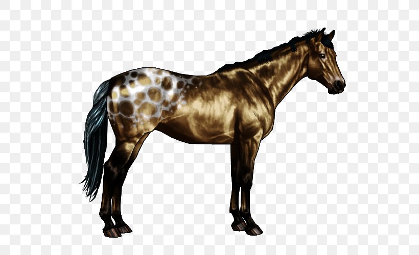 Appaloosa Roan Chestnut Horse Markings Equine Coat Color, PNG, 600x500px, Appaloosa, Bay, Brindle, Chestnut, Colt Download Free