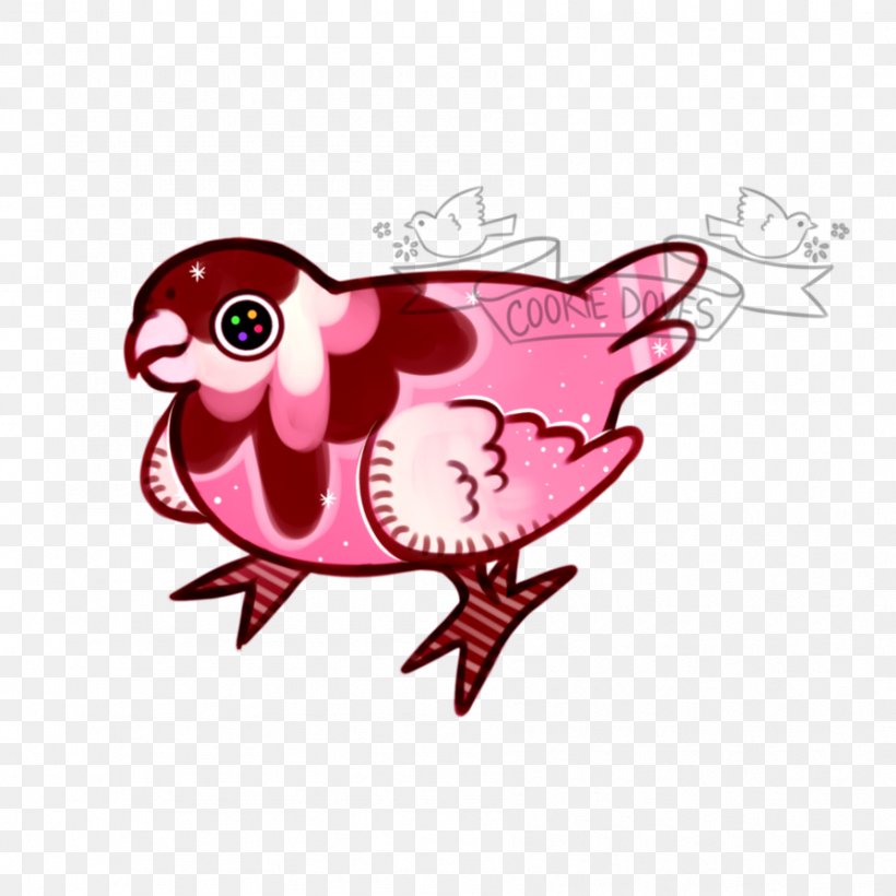 Bird Of Prey Vertebrate Clip Art, PNG, 894x894px, Bird, Animal, Art, Beak, Bird Of Prey Download Free