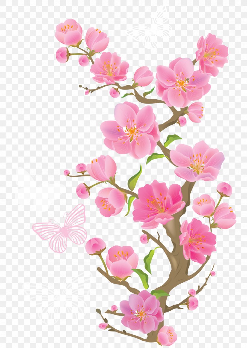 Cherry Blossom Flower Clip Art, PNG, 1732x2442px, Cherry Blossom, Blossom, Branch, Cherry, Cut Flowers Download Free