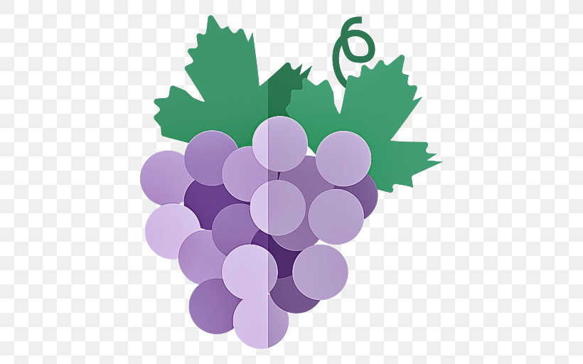 Grape Grapevine Family Purple Vitis Violet, PNG, 512x512px, Grape, Circle, Fruit, Grape Leaves, Grapevine Family Download Free