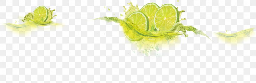 Lemonade Fizzy Drinks Juice Sugar, PNG, 1636x533px, Lemonade, Branch, Dairy Queen, Drink, Fizzy Drinks Download Free
