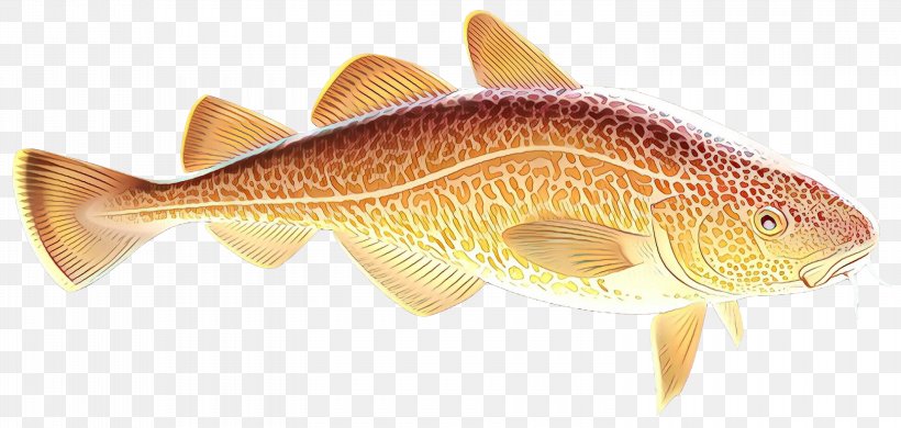 Northern Red Snapper Fish Products Marine Biology Fauna, PNG, 3000x1430px, Northern Red Snapper, Action Toy Figures, Animal, Biology, Bonyfish Download Free