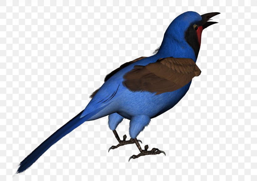 Bluebird Swallow Feather, PNG, 1600x1131px, Bird, Animal, Animal Figure, Beak, Bluebird Download Free