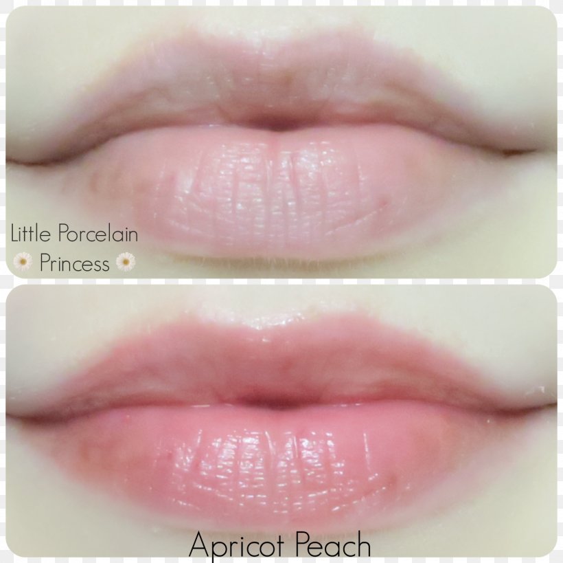 Lip Gloss Lipstick Close-up Eyelash, PNG, 1600x1600px, Lip Gloss, Closeup, Cosmetics, Eyelash, Lip Download Free
