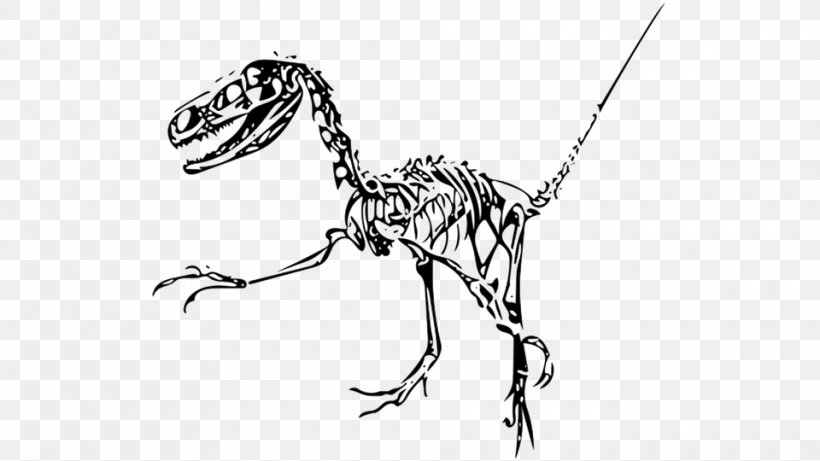 Oviraptor Velociraptor Dinosaur Skipjack Tuna Image, PNG, 960x540px, Oviraptor, Art, Black And White, Carnivoran, Dinosaur Download Free