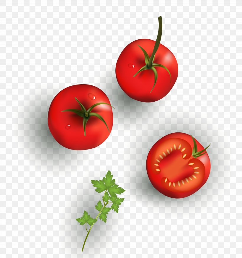 Cherry Tomato Vegetable Drawing Food, PNG, 3843x4093px, Cherry Tomato, Auglis, Diet Food, Drawing, Eggplant Download Free