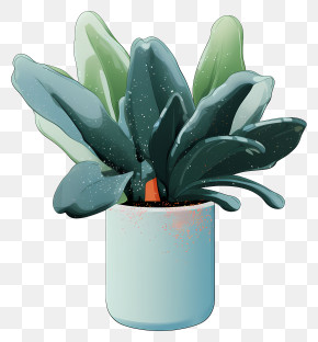 Potted Plant - Potted Plant With Dark Green Leaves PNG