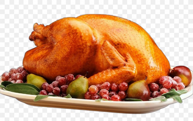 Turkey Thanksgiving Cartoon, PNG, 1024x644px, Cartoon, Chicken, Chicken  Meat, Cooking, Cuisine Download Free