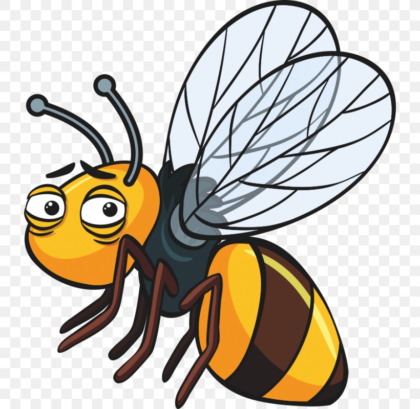 Bee Royalty-free Clip Art, PNG, 800x800px, Bee, Arthropod, Artwork, Fly, Honey Bee Download Free