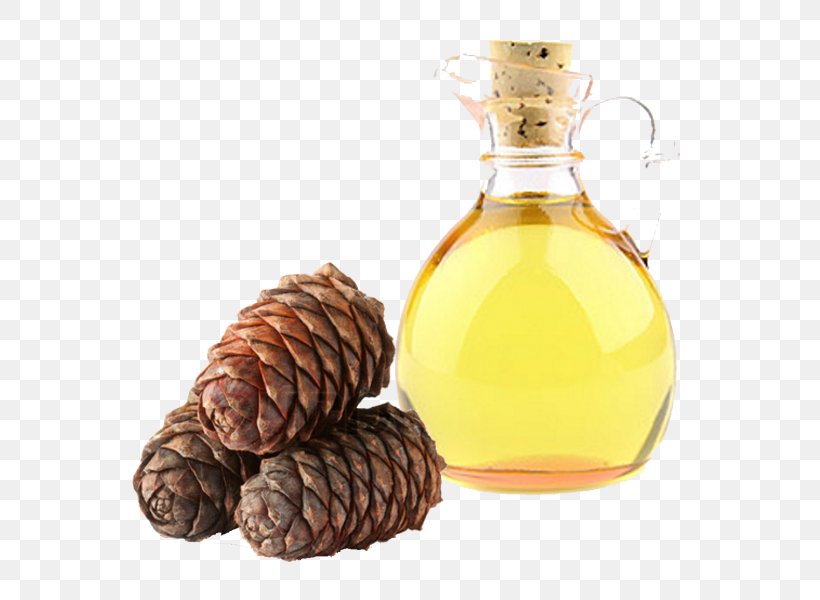 Cedar Oil Cedar Wood Essential Oil, PNG, 800x600px, Cedar Oil, Barware, Cedar, Cedar Wood, Chemical Substance Download Free