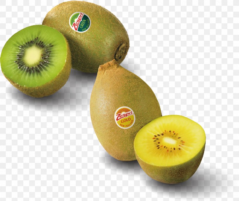 Kiwifruit Icon, PNG, 1381x1164px, Kiwifruit, Cartoon, Diet Food, Drawing, Food Download Free