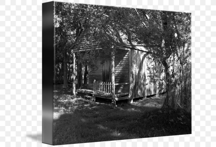 Outhouse Architecture Tree Photography Shed, PNG, 650x560px, Outhouse, Architecture, Black And White, Home, House Download Free