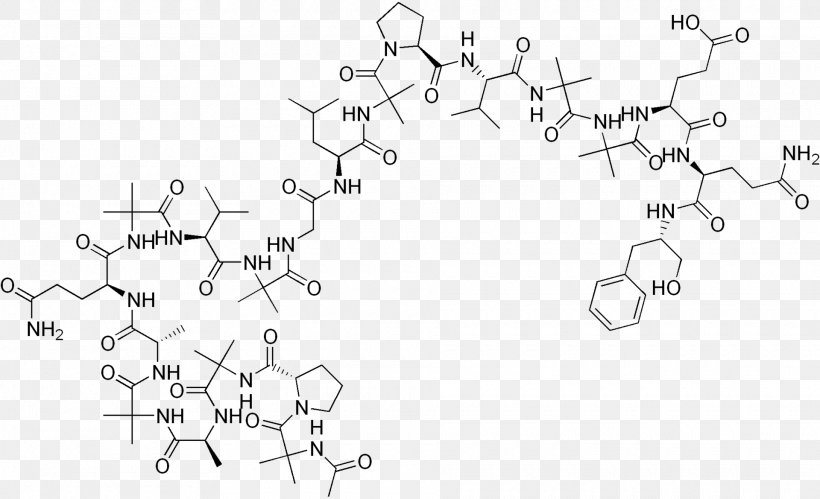 Peptide Bond Amino Acid Alamethicin Ghrelin, PNG, 1920x1169px, Peptide, Acid, Amine, Amino Acid, Ammonia Download Free
