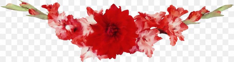 Red Cut Flowers Petal Carnation Pink Family, PNG, 1500x403px, Flower Border, Carnation, Cut Flowers, Floral Line, Flower Download Free