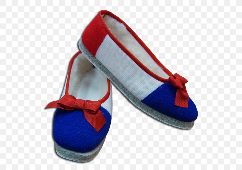 Slipper Ballet Flat Chausson Shoe Woman, PNG, 600x579px, Slipper, Ballet Flat, Blue, Chausson, Cobalt Blue Download Free