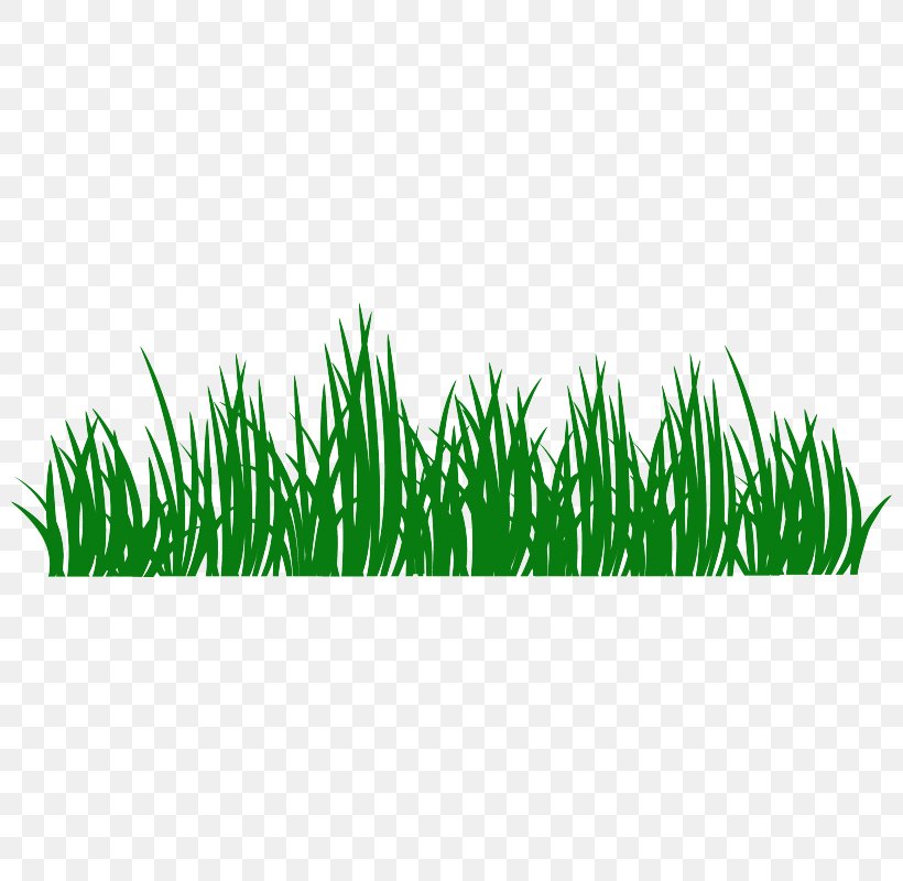 Sticker Grass Wall Decal Lawn Food, PNG, 800x800px, Sticker, Advertising, Commodity, Decal, Food Download Free