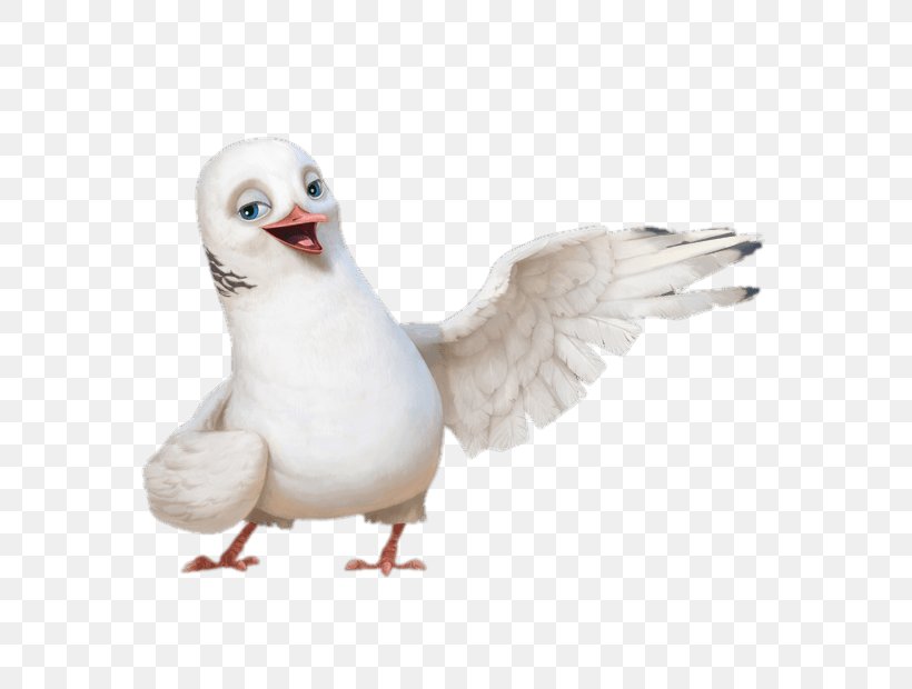 European Herring Gull Water Bird Gulls Goose, PNG, 620x620px, European Herring Gull, American Herring Gull, Amino Apps, Anatidae, Beak Download Free