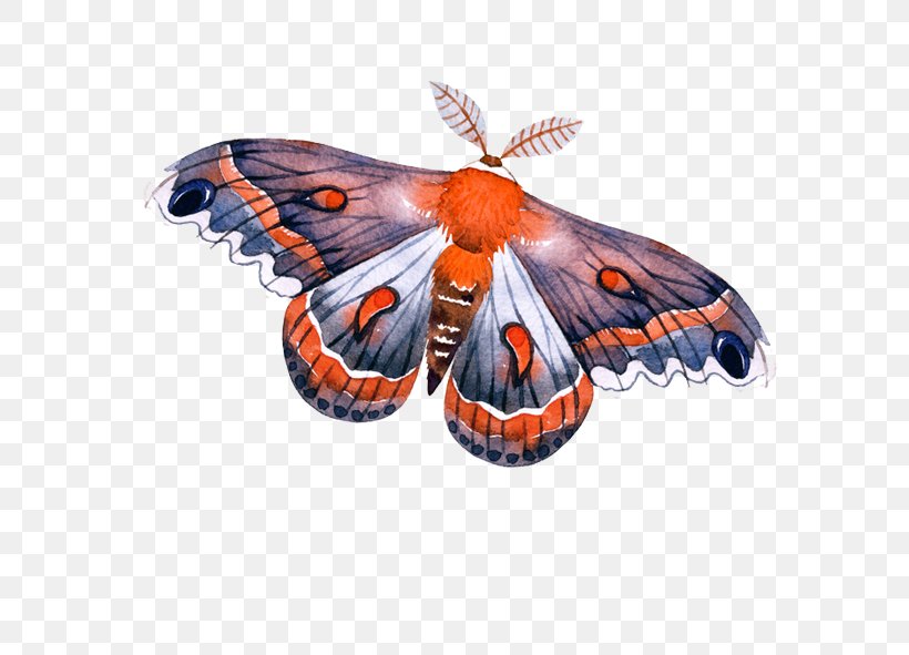 Monarch Butterfly Arrow, PNG, 591x591px, Monarch Butterfly, Arah, Arthropod, Brush Footed Butterfly, Butterfly Download Free