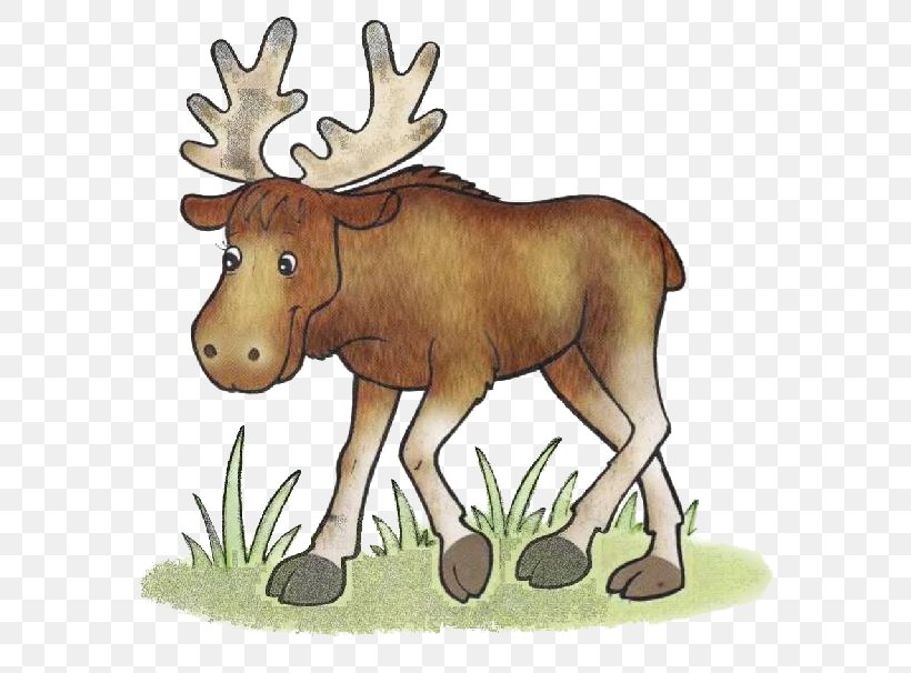 Moose Reindeer Forest Clip Art, PNG, 602x606px, Moose, Animal, Animal Figure, Antler, Blog Download Free