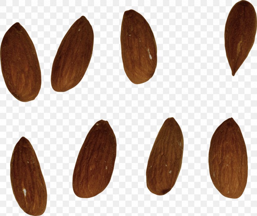 Nuts Almond Hazelnut, PNG, 2354x1980px, Nut, Acorn, Almond, Hazelnut, Megabyte Download Free
