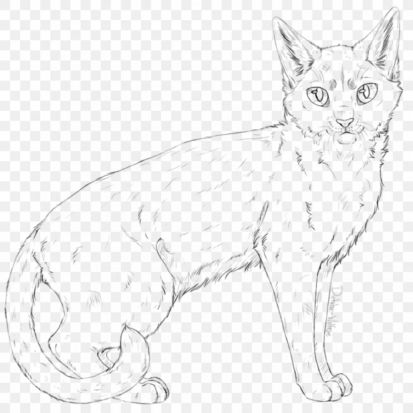 Whiskers Kitten Domestic Short-haired Cat Line Art, PNG, 893x894px, Whiskers, Animal Figure, Art, Artwork, Black And White Download Free