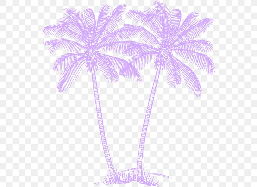 Arecaceae Sabal Palm Art Clip Art, PNG, 552x596px, Arecaceae, Arecales, Art, Coconut, Color Download Free