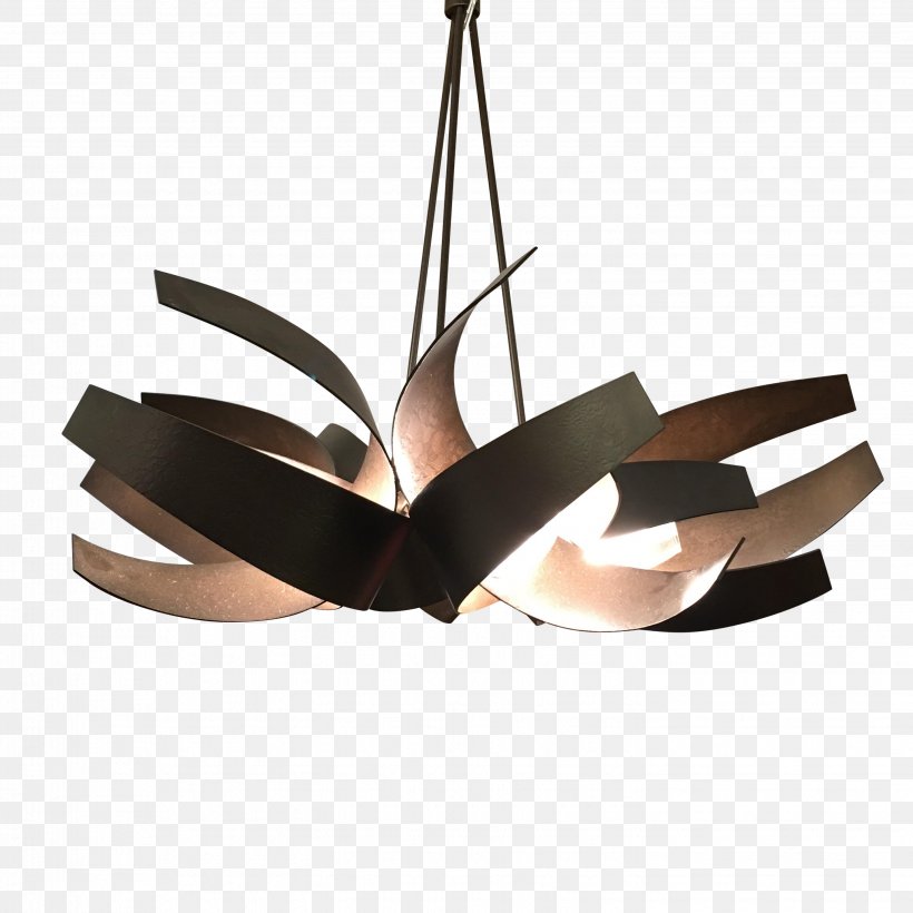 Lighting Light Fixture Ceiling, PNG, 2888x2888px, Lighting, Ceiling, Ceiling Fixture, Light Fixture, Lighting Accessory Download Free