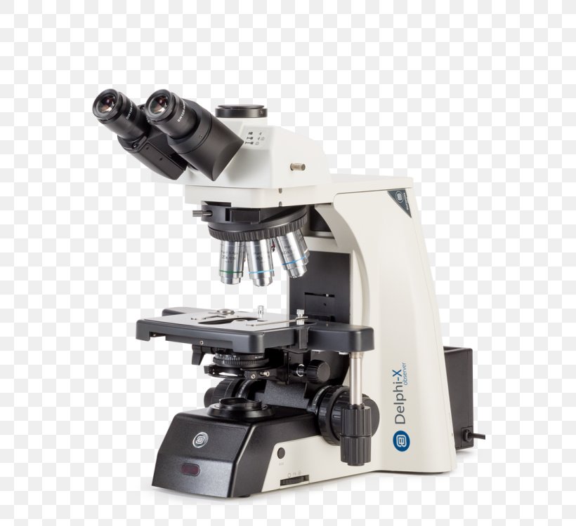 Stereo Microscope Science Light Objective, PNG, 563x750px, Microscope, Achromatic Lens, Eyepiece, Fluorescence Microscope, Laboratory Download Free