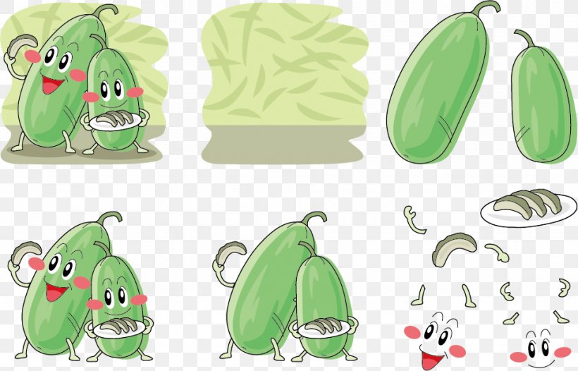 Wax Gourd Vegetable Illustration, PNG, 974x625px, Wax Gourd, Amphibian, Area, Broccoli, Carrot Download Free