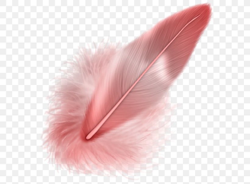Feather Bird, PNG, 600x606px, 2016, Feather, Beak, Bird, Blog Download Free