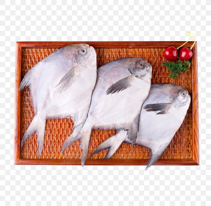Pampus Argenteus Fish Seafood Pomfret, PNG, 800x800px, Pampus Argenteus, Aquaculture, Beak, Bird, Coreldraw Download Free