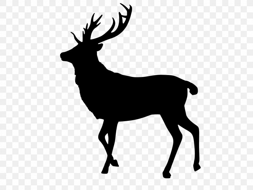 Reindeer Cartoon, PNG, 1600x1200px, Deer, Antelope, Antler, Chamois, Elk Download Free