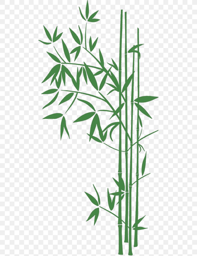 Bamboo Desktop Wallpaper High-definition Television Clip Art, PNG, 501x1067px, 4k Resolution, Bamboo, Branch, Desktop Environment, Display Resolution Download Free