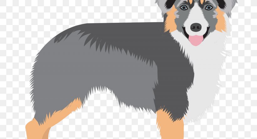 Border Collie Australian Shepherd Dog Breed Companion Dog Berger Blanc Suisse, PNG, 800x445px, Border Collie, Australian Shepherd, Berger Blanc Suisse, Breed, Canadian Kennel Club Download Free