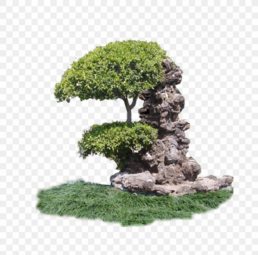 Stone Sculpture Art Download Rock, PNG, 1195x1185px, Stone Sculpture, Art, Bonsai, Flowerpot, Grass Download Free