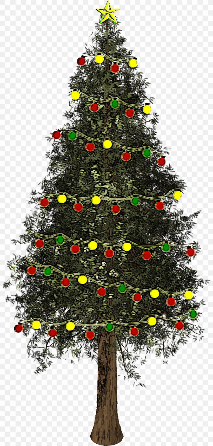 Christmas Tree, PNG, 918x1920px, Christmas Tree, American Larch, Balsam Fir, Branch, Christmas Download Free