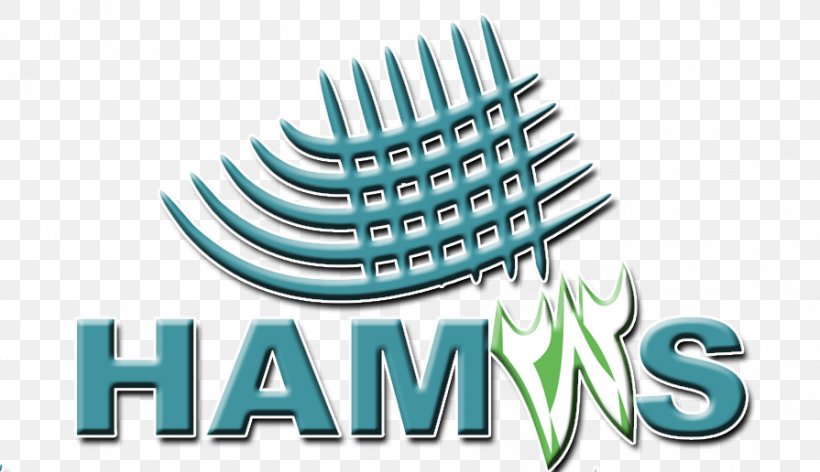 Hamas Himpunan Mahasiswa Jurusan STEI Tazkia Accounting Logo, PNG, 895x516px, 2015, 2016, Hamas, Accounting, Brand Download Free