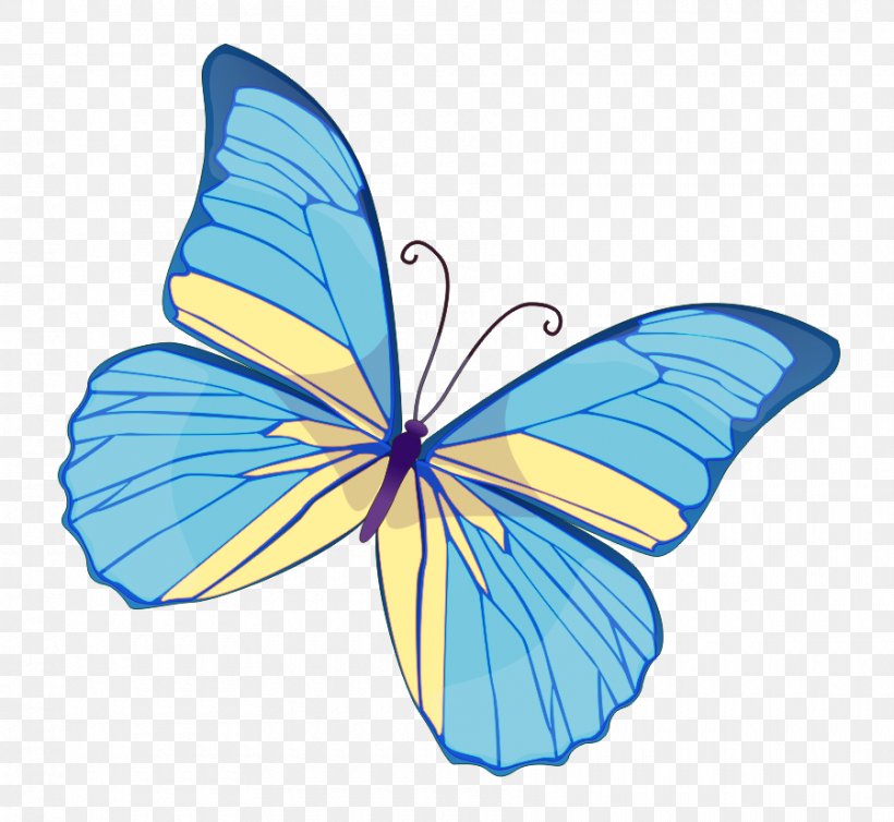 Butterfly Clip Art, PNG, 900x828px, Butterfly, Blue, Brush Footed Butterfly, Butterflies And Moths, Color Download Free