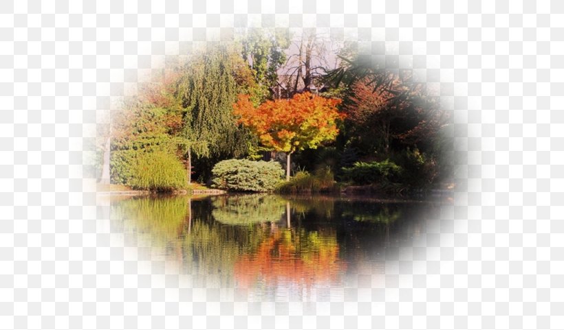Nature Landscape Pond Leaf, PNG, 640x481px, Nature, Autumn, Landscape, Leaf, Pond Download Free