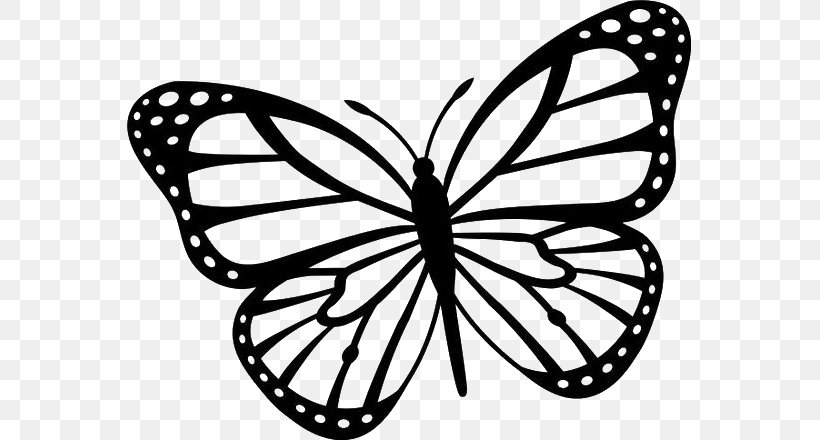 Butterfly Clip Art Black And White Drawing Image, PNG, 618x440px, Butterfly, Area, Arthropod, Artwork, Bicycle Wheel Download Free