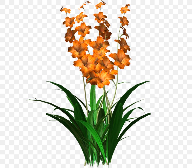 Flower Image Design Tulip, PNG, 600x718px, Flower, Cattleya, Cut Flowers, Decorative Arts, Flowering Plant Download Free