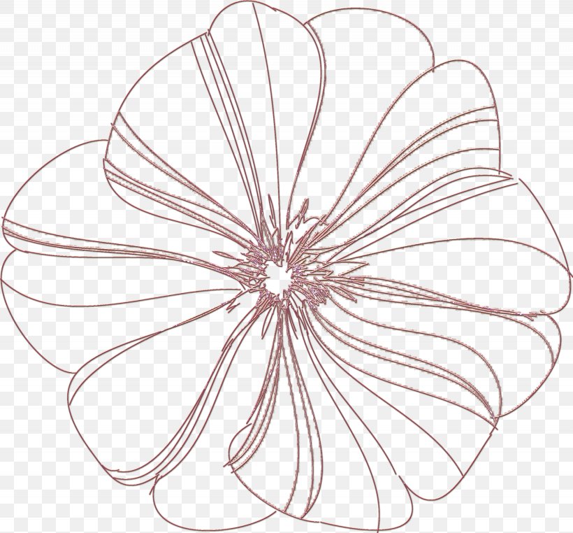 White Line Symmetry, PNG, 1845x1716px, White, Black And White, Drawing, Flower, Flowering Plant Download Free