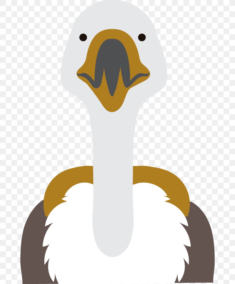 Common Ostrich Duck Clip Art, PNG, 678x994px, Common Ostrich, Animal, Beak, Bird, Carnivoran Download Free
