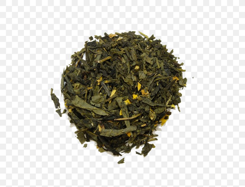 Nilgiri Tea Hōjicha Golden Monkey Tea Tea Plant, PNG, 550x625px, 2018 Audi Q7, Nilgiri Tea, Assam Tea, Audi Q7, Bai Mudan Download Free