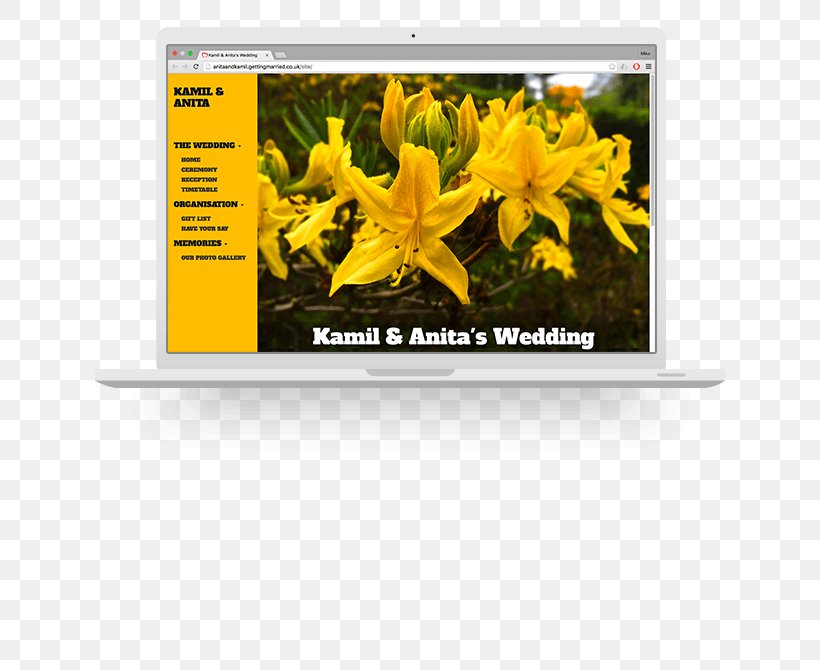 Personal Wedding Website Advertising Brand, PNG, 690x670px, Personal Wedding Website, Advertising, Brand, Flower, Plant Download Free