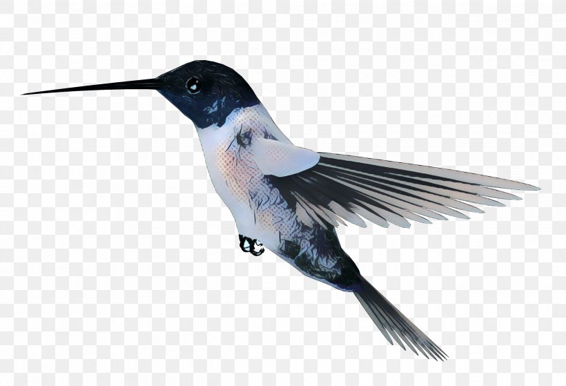 Bird Wing, PNG, 2484x1696px, Hummingbird, Beak, Bird, Feather, Flight Download Free