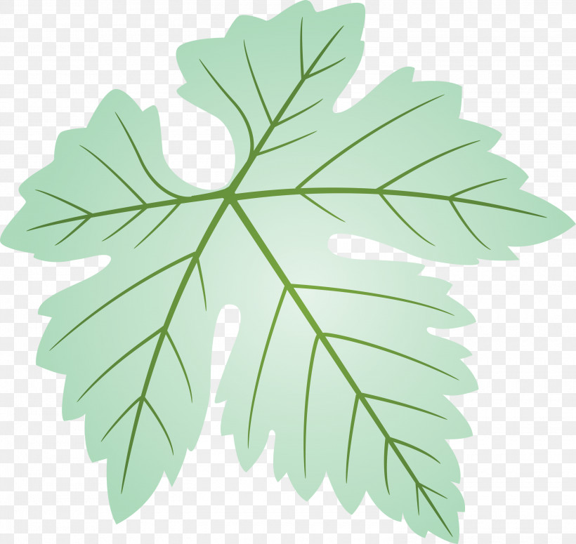 Grapes Leaf Leaf, PNG, 3000x2836px, Grapes Leaf, Black Maple, Flower, Herb, Leaf Download Free