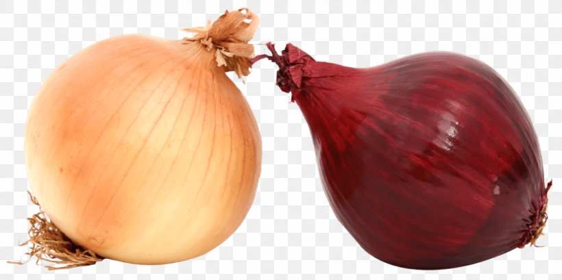 Yellow Onion Shallot White Onion Vegetable, PNG, 851x425px, Yellow Onion, Food, Garlic, Ingredient, Italian Cuisine Download Free