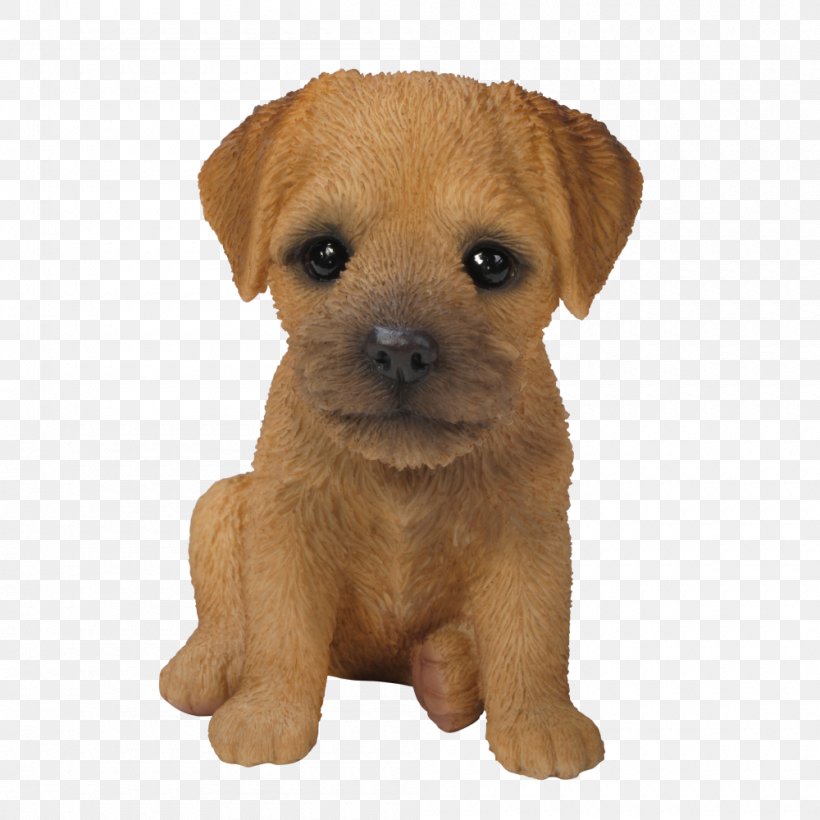 Border Terrier Yorkshire Terrier Puppy Airedale Terrier Bichon Frise, PNG, 1000x1000px, Border Terrier, Airedale Terrier, Animal, Bichon Frise, Carnivoran Download Free