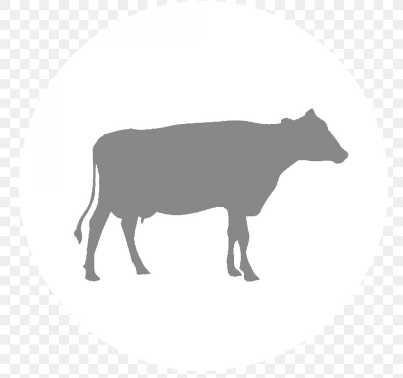 Dairy Cattle Calf Vector Graphics Clip Art, PNG, 768x768px, Cattle, Agriculture, Beef Cattle, Bovine, Calf Download Free
